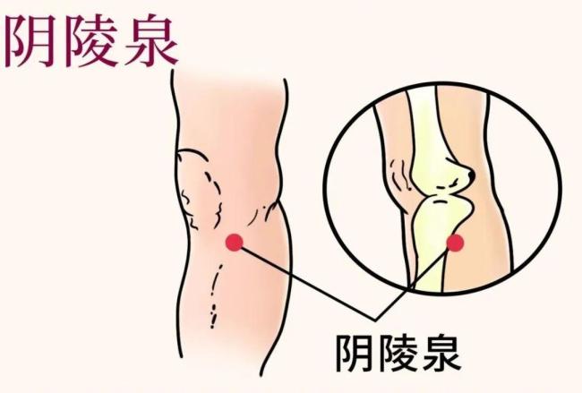 如何科学应对“回南天” 中医智慧助你祛湿保健
