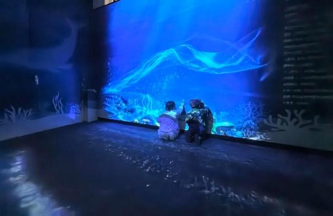 万吨巨兽为何偏爱“跃龙门” 深海巨兽的空中芭蕾