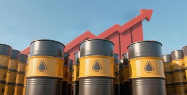 菲律宾薄荷岛部分加油站已无油可加 能源危机迫在眉睫