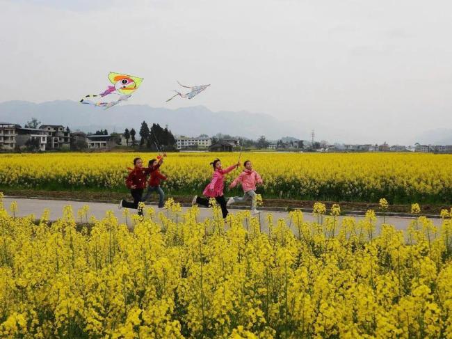 山东、湖南、贵州加入“春秋假”行列