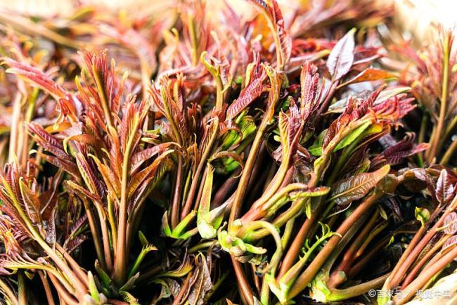 中文字幕无码一区二区免费