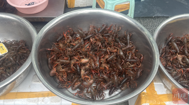 小龙虾上市了 价格比去年还便宜 川南早虾错峰上市