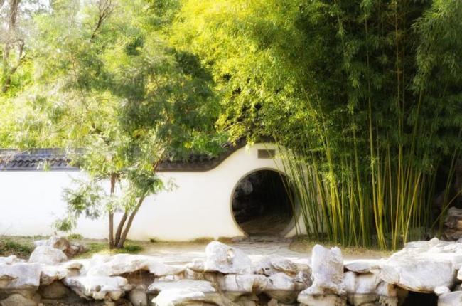 北京最美园路总长度超7400米 串联70处景点迎春花期