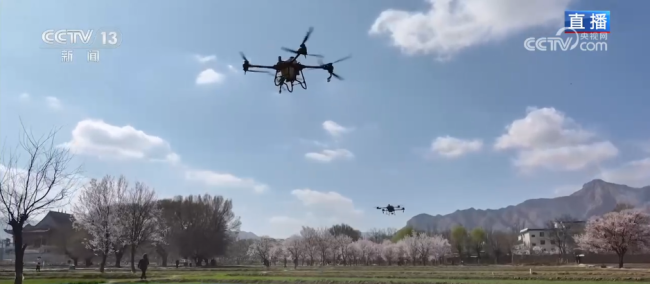 科技加持让春日麦田“节节高” 