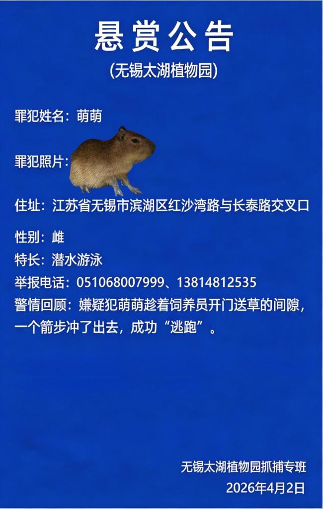 植物园悬赏1万寻越狱卡皮巴拉