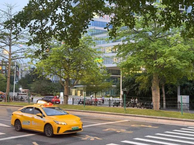 交管部门辟谣严查后排安全带