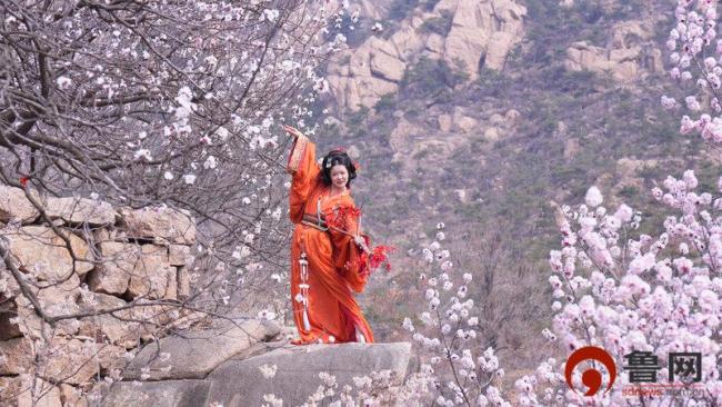 从一朵花看见春日经济活力 赏花经济多点开花