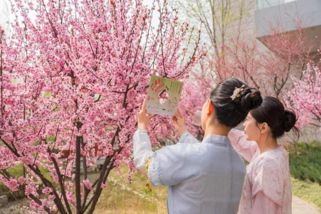 假期首日北京市属公园纳客超58万人次 春日文化盛宴开启