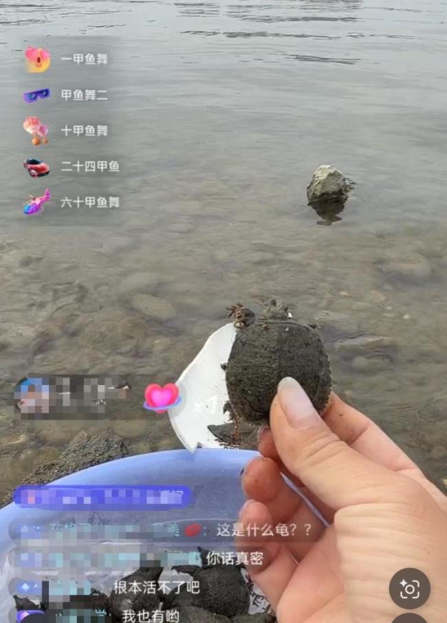 直播间打赏放生:“功德”被明码标价