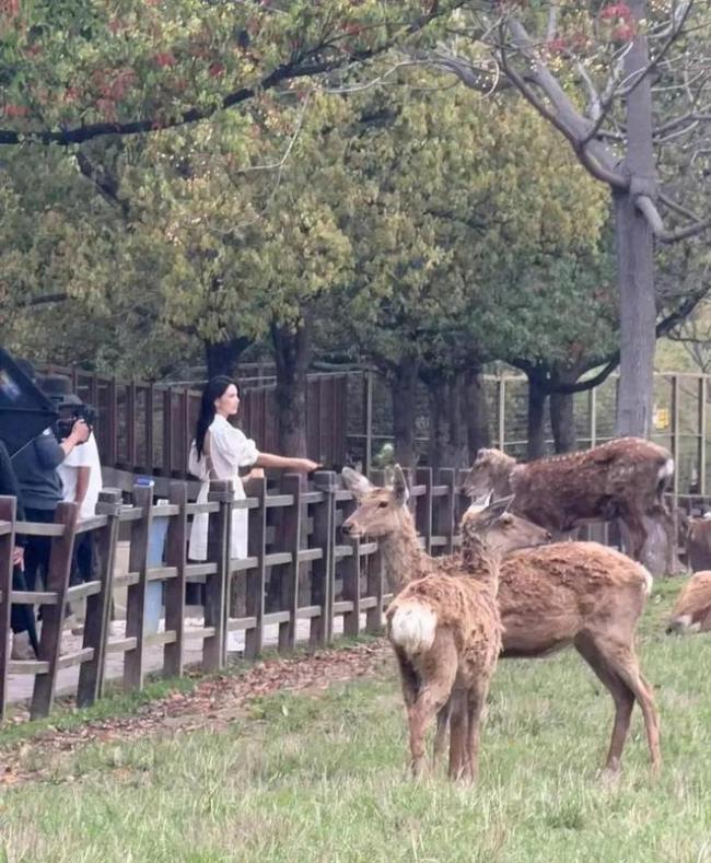 昆凌现身杭州良渚古城遗址公园