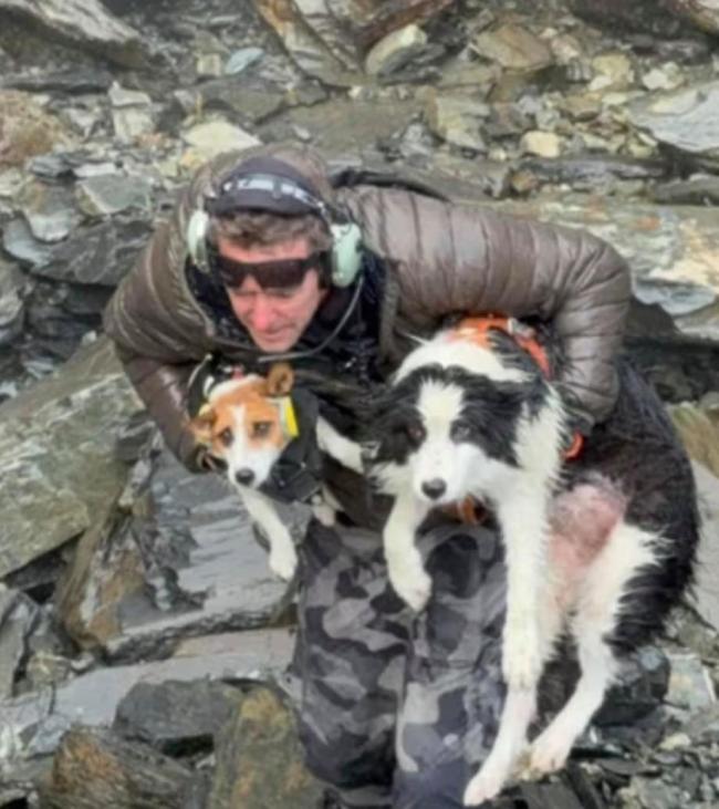 女子坠崖被送医 爱犬独守原地7天 奇迹生还获救
