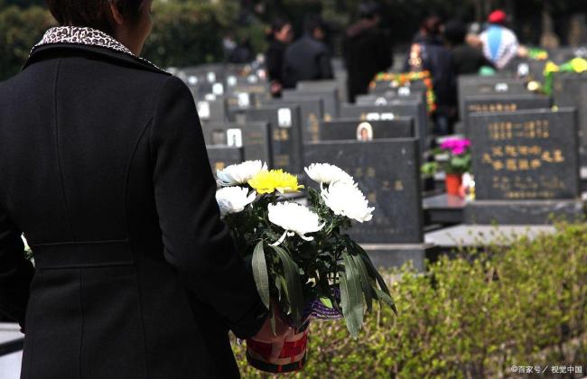 敬一丹谈清明:藏在节气里的生命智慧 悲喜交融的生活哲学