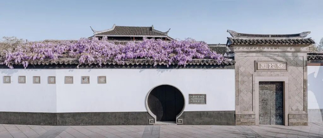 我一切都好 除了有点想你:梨花风起寄相思