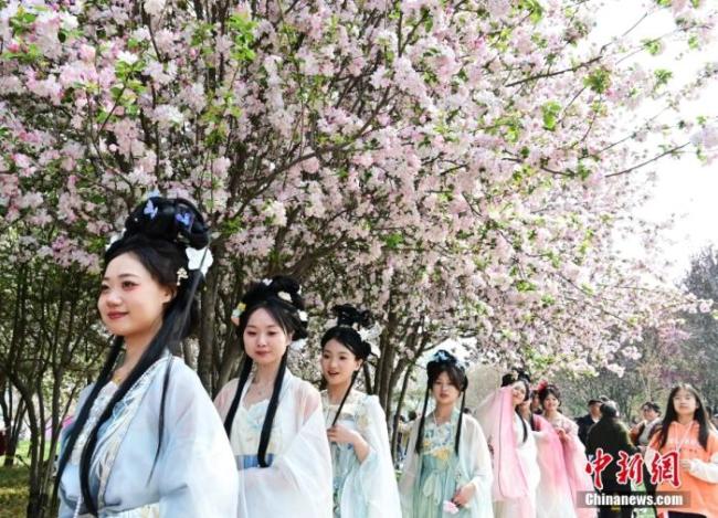 清明也分“早晚”?专家回应 历法现象解析