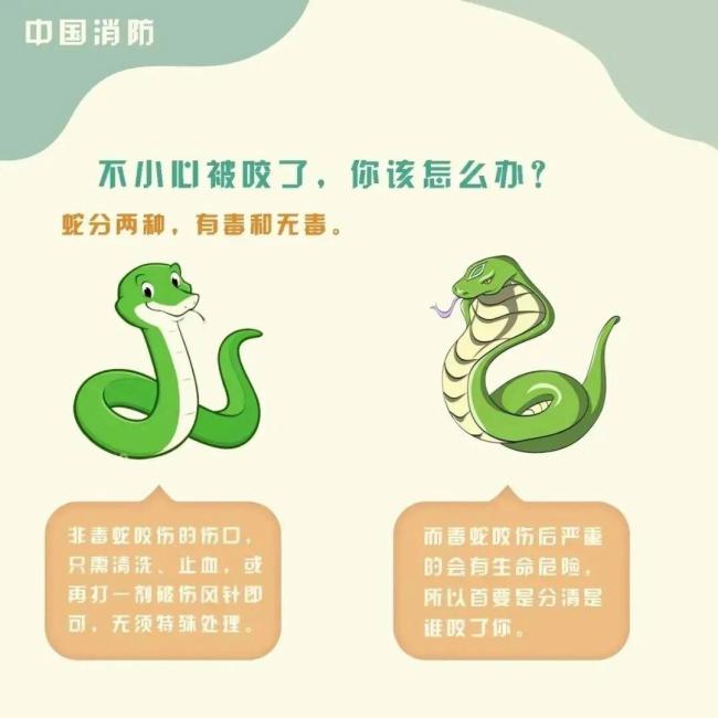 被蛇咬伤后怎么办 奇迹生还故事