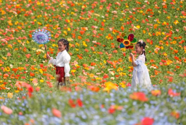 盘点清明假日消费新亮点 春日消费活力旺