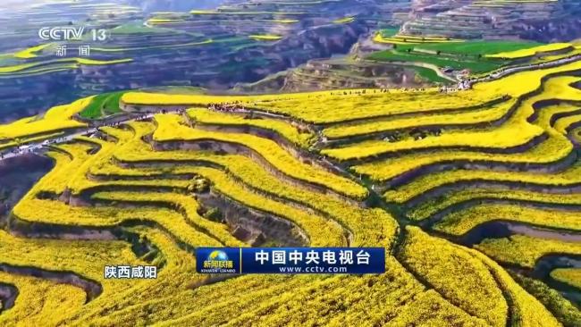 春天里的中国丨繁花遍野 山河皆入春