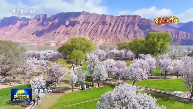 春天里的中国丨繁花遍野 山河皆入春