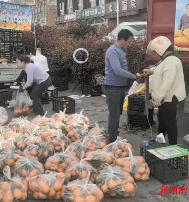 小学生祭扫途中大叔投喂橙子