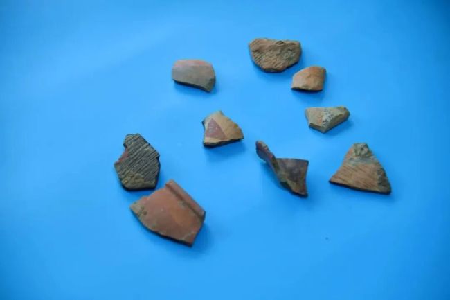 山西阳泉发现仰韶文化遗址热 填补区域文化空白