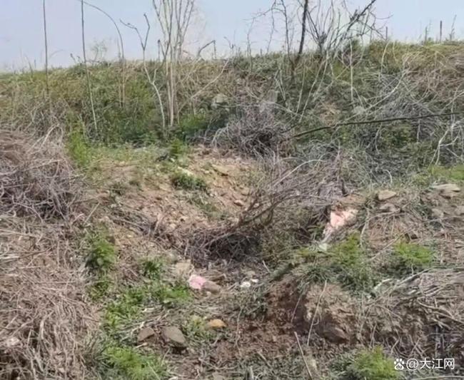 52岁农妇拒猥亵遭掐脖死亡最新进展 嫌犯已被提起公诉