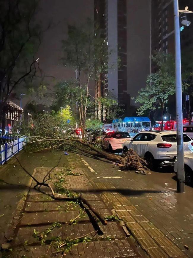 4月武汉为什么会出现冰雹 突发强对流天气揭秘