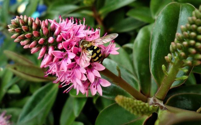 央视曝光上海黑中医馆骗局 医托演戏坑患者