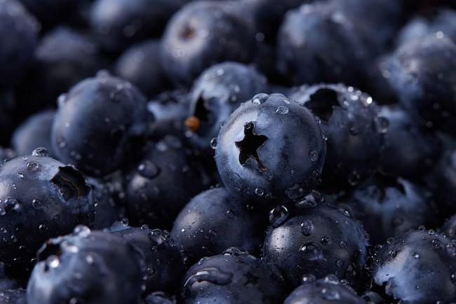 蓝莓价格大跳水的真相 从高端走向普惠的关键一步
