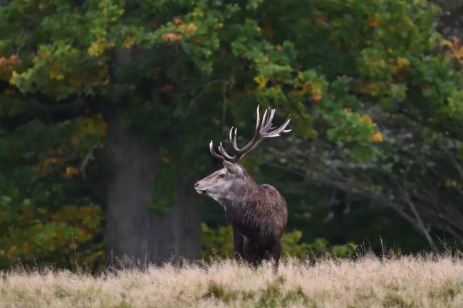 西班牙的外交“转弯”是什么信号