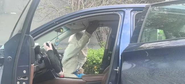 男子忘关车窗15分钟 回来时傻眼 车内惊现蜂巢