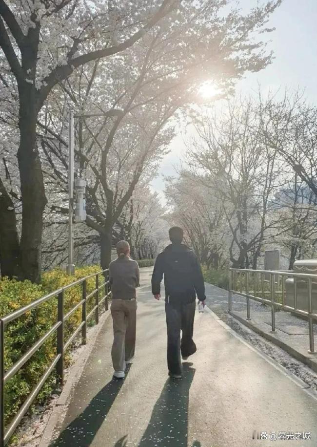 何超莲樱花照 窦骁视角 甜蜜恩爱羡煞旁人