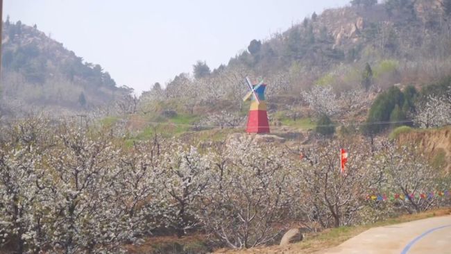 文旅融合消费升级 春日经济活力涌动