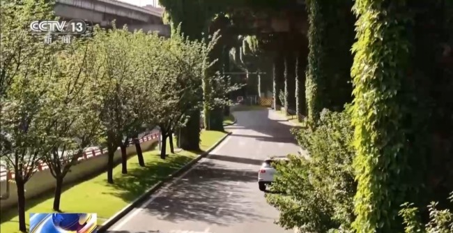 以绿筑城！成都解锁公园城市多元新形态