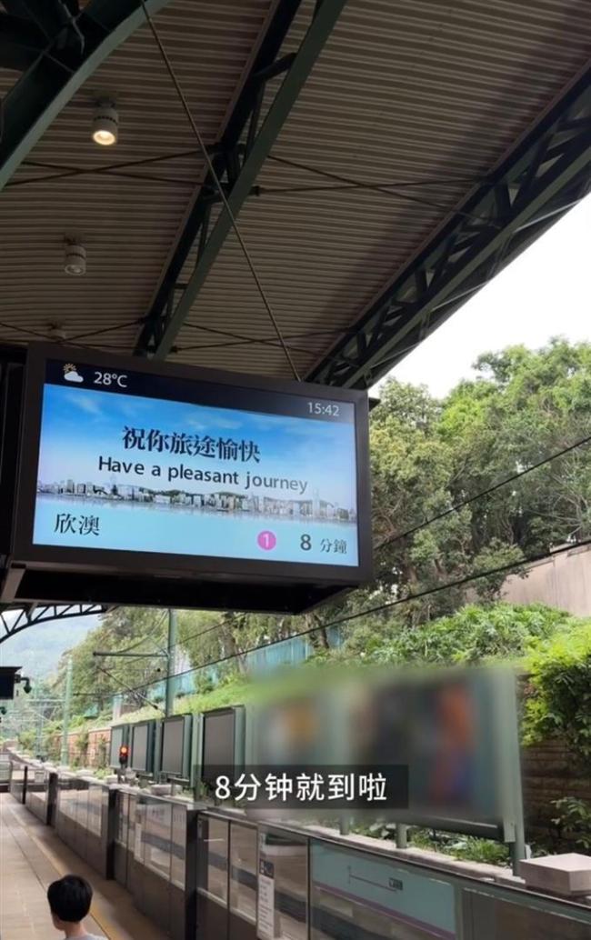 张柏芝晒与小儿子迪士尼游玩vlog 母子互动温馨有趣