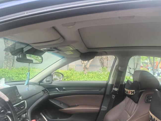 未关窗仅10分钟车内筑起蜂巢