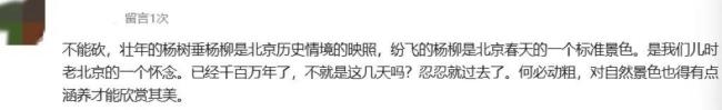 北京苦杨柳絮久矣 真正该砍的是什么 无效治理与信息壁垒
