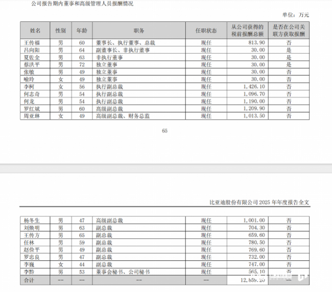 比亚迪财务总监年薪1013万元 A股CFO薪酬新高