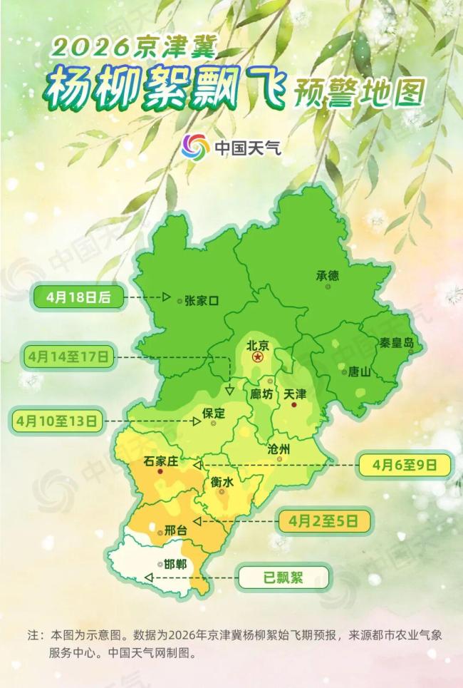为什么不能把杨柳树都砍了？官方回应
