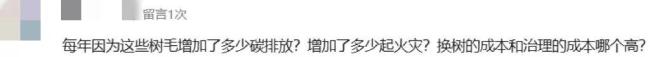 北京苦杨柳絮久矣 真正该砍的是什么 无效治理与信息壁垒