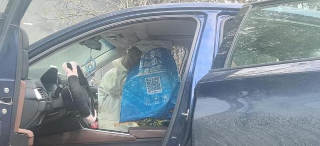 男子忘关车窗车内惊现蜂巢 蜜蜂十分钟快速筑巢