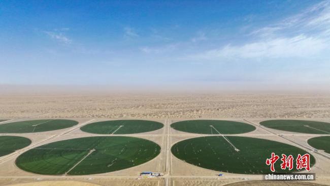 塔克拉玛干沙漠边缘现“绿色圆盘” 高效节水农业显成效
