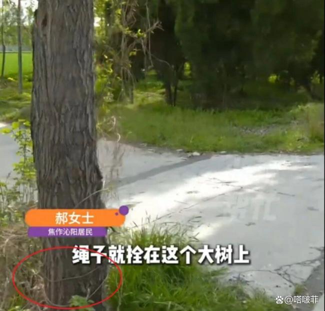 被绳索锁喉男孩已脱离生命危急 村民自愿捐钱合作