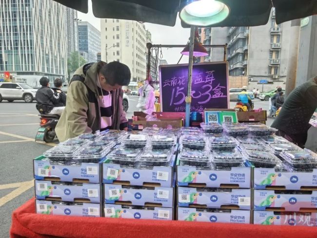 蓝莓价格卷疯了 价格几乎“腰斩”