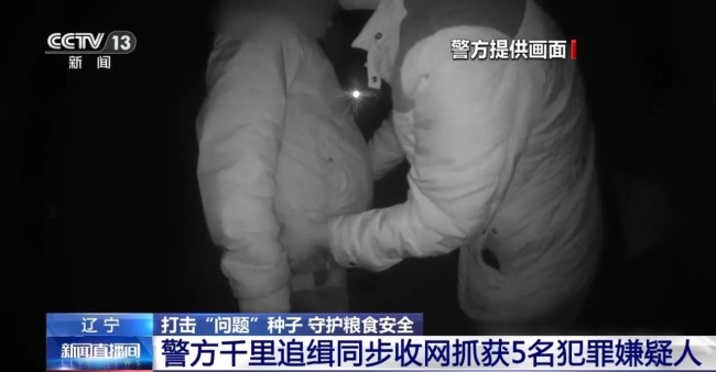 買便宜種子導(dǎo)致減產(chǎn)甚至絕收 警惕“假劣種子”