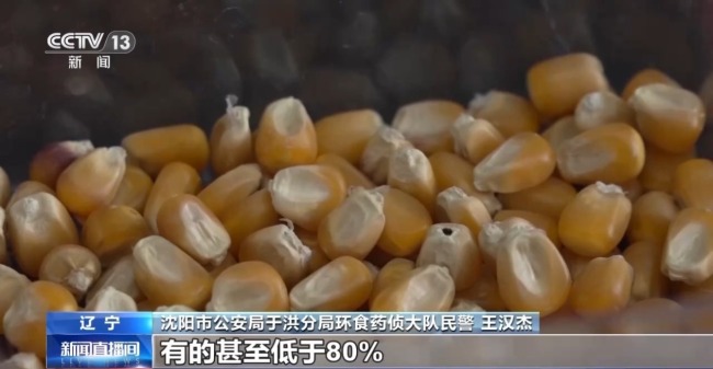 買便宜種子導(dǎo)致減產(chǎn)甚至絕收 警惕“假劣種子”