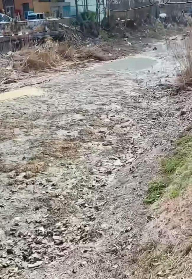 临沂一乡村河道疑被排污变牛奶河