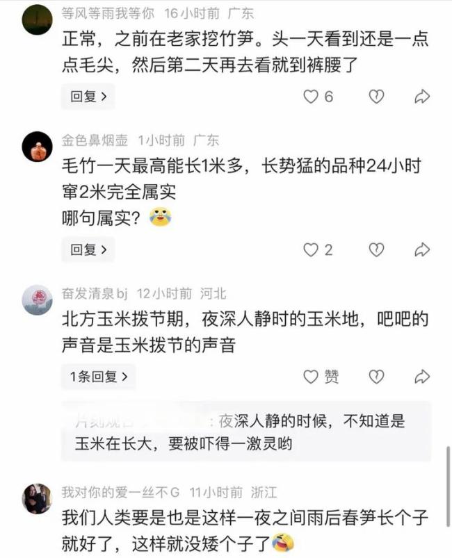 阿姨忘掉的衣服竟然被竹子“穿走” 大自然的神奇力量