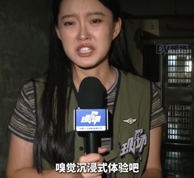 居民喂流浪猫致小区臭气熏天 记者探访现场“yue”个不停