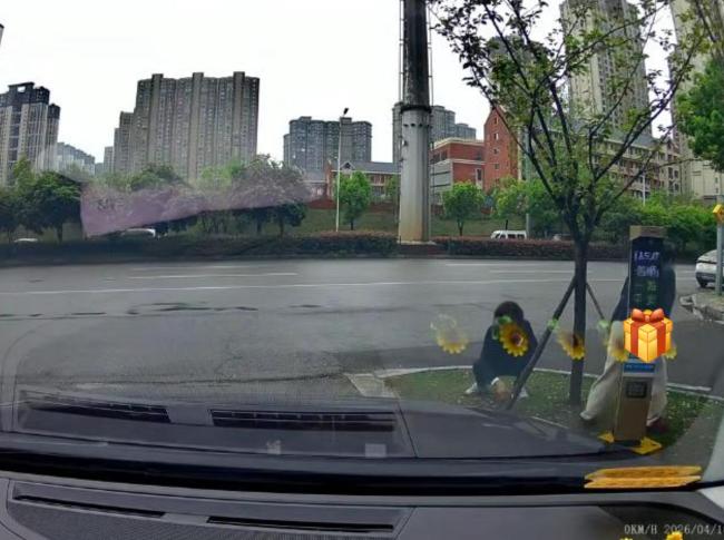 女子从车辆出口穿行被抬起杆头碰伤 无视警示反索赔引发争议