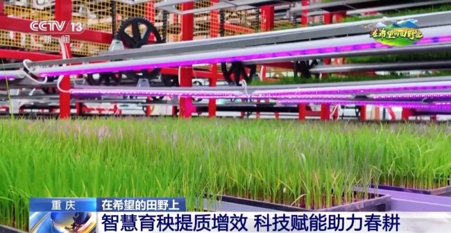 機(jī)器播種 “智慧春耕”正在進(jìn)行中